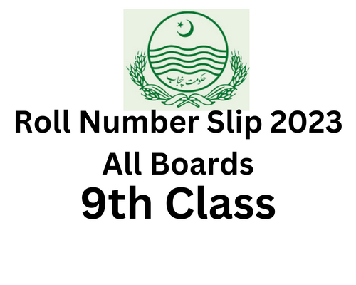 9th-class-roll-number-slip-2023-all-boards