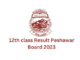 12th class Result Peshawar Board 2023