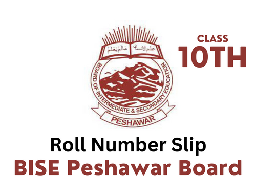 BISE Peshawar Board 10th Class Roll Number Slip 2023