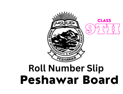 Roll Number Slip 9th Class BISE Peshawar Board 2023