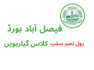 BISE Faisalabad Board 11th Class Roll Number Slip 2023