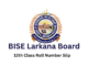 BISE Larkana Board 12th Class Roll No Slip 2023