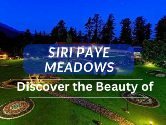 Discover the Beauty of Siri Paye Meadows