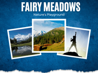 Fairy Meadows: Nature's Playground