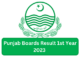 Punjab Boards Result 1st Year 2023